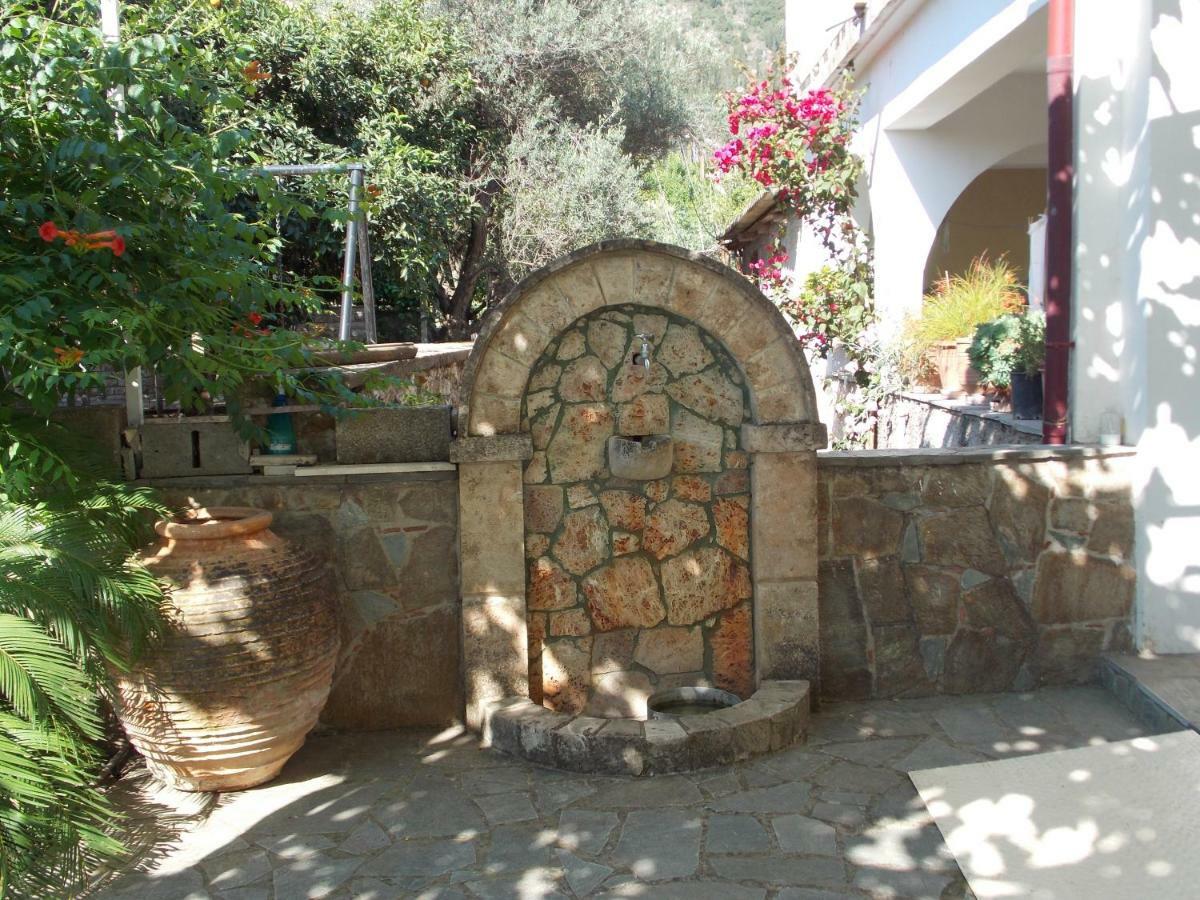 Art Flowers And Culture Mystras Eksteriør billede